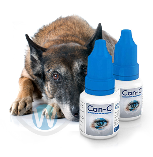 Can You Give Dogs Eye Drops For Humans Can C Eye Drops For Dogs Wise Choice Medicine
